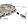 B1 Apply Boost Valve kit U660