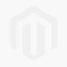 Electric Vehicles Logo